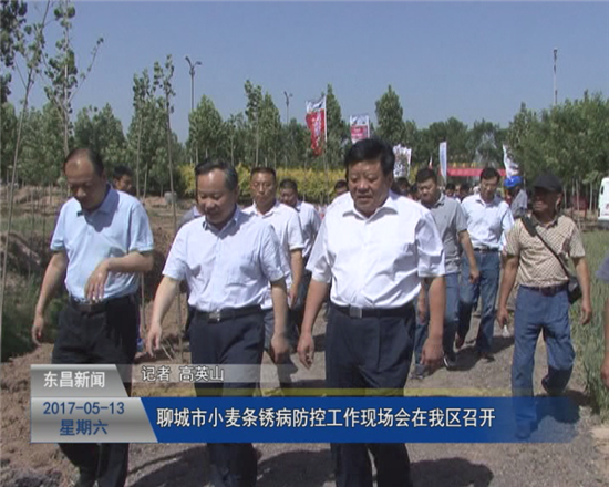 聊城市小麥條銹病防控工作現(xiàn)場會(huì)在我區(qū)召開