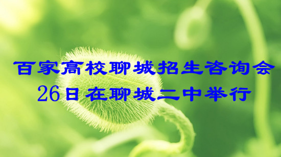 百家高校聊城招生咨詢會26日在聊城二中舉行