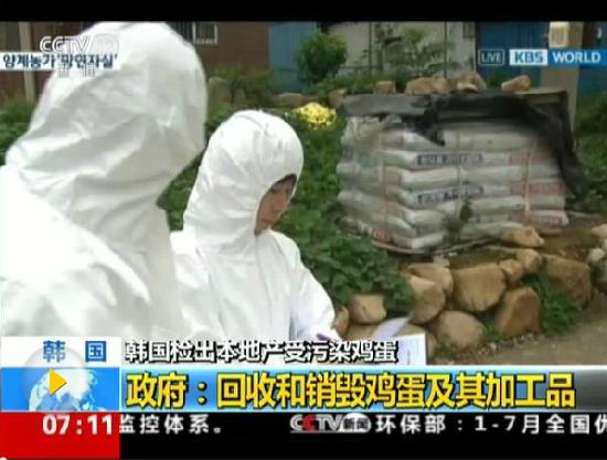 每天吃兩個半“毒蛋”無害？韓政府解釋遭輿論狠批