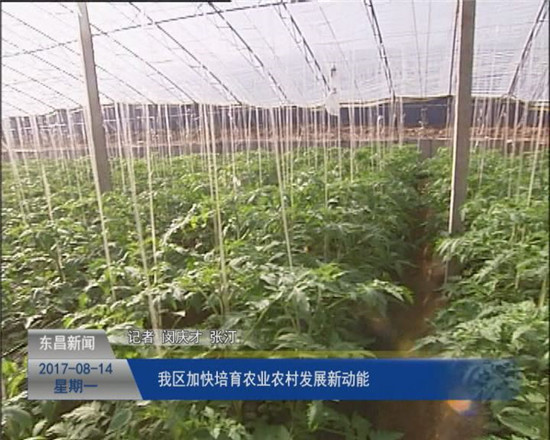 我區(qū)加快培育農業(yè)農村發(fā)展新動能
