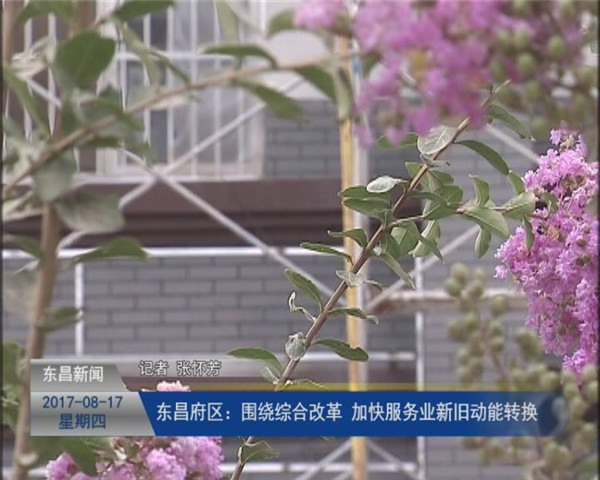 東昌府區(qū)：圍繞綜合改革 加快服務(wù)業(yè)新舊動能轉(zhuǎn)換