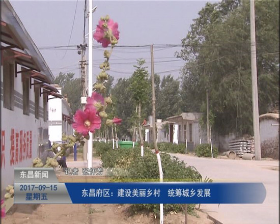 東昌府區(qū)：建設美麗鄉(xiāng)村 統(tǒng)籌城鄉(xiāng)發(fā)展