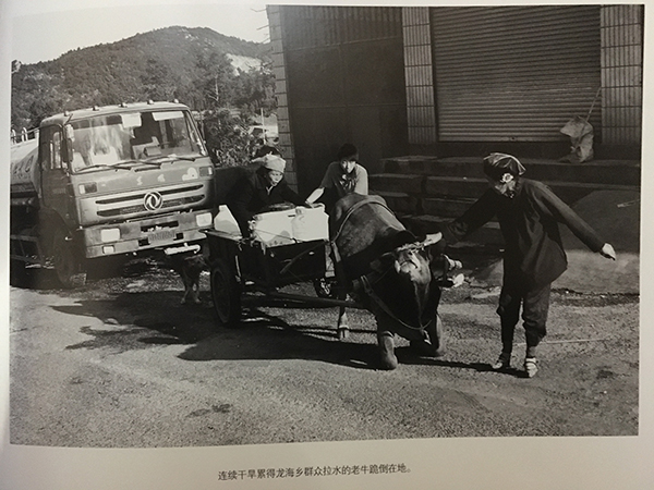 云南“陸良八老”31年造林13萬(wàn)畝，二老已逝