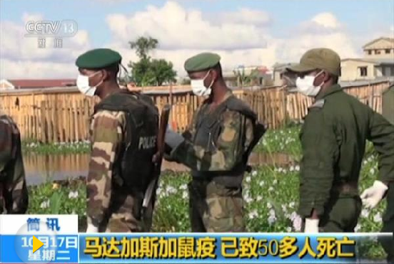 馬達(dá)加斯加鼠疫已致124人喪生 多國加強(qiáng)入境檢查