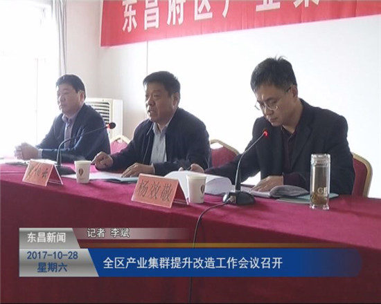 全區(qū)產(chǎn)業(yè)集群提升改造工作會(huì)議召開