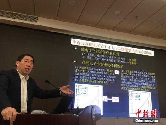 中國(guó)科學(xué)院院士吳岳良在做評(píng)議。<a target='_blank' >中新社</a>記者 張素 攝