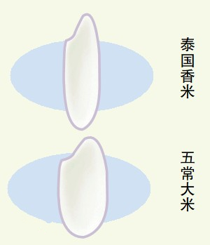 大米市場(chǎng)魚(yú)龍混雜真假難辨 標(biāo)稱“五常米” 九成是李鬼