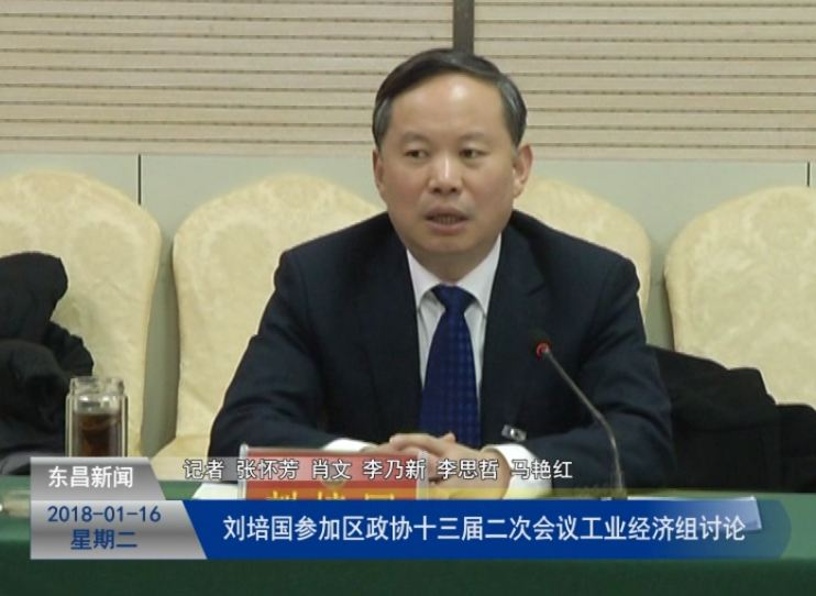 劉培國(guó)參加區(qū)政協(xié)十三屆二次會(huì)議工業(yè)經(jīng)濟(jì)組討論