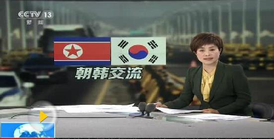 平昌冬奧開幕在即 韓朝首支女子冰球聯(lián)隊首合訓(xùn)