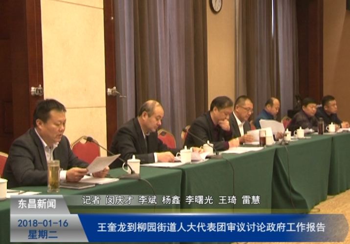 王奎龍到柳園街道人大代表團(tuán)審議討論政府工作報(bào)告