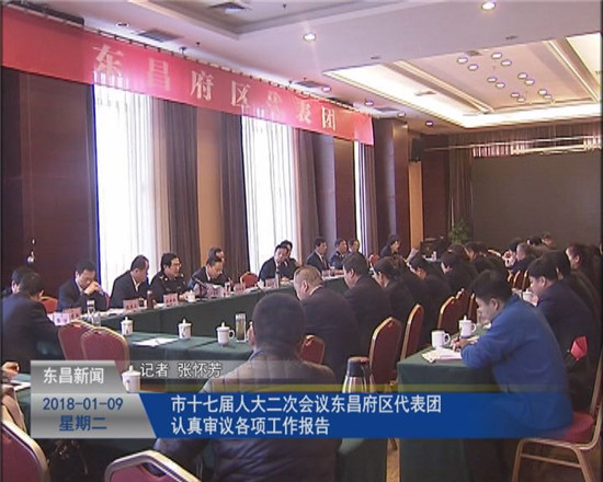 市十七屆人大二次會議東昌府區(qū)代表團認真審議各項工作報告