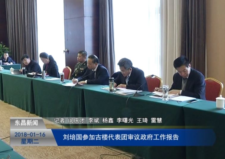 劉培國(guó)參加古樓代表團(tuán)審議政府工作報(bào)告