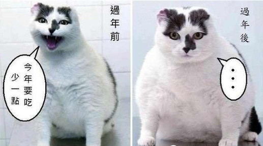 每逢佳節(jié)胖三斤？這幾招幫你輕松打破魔咒