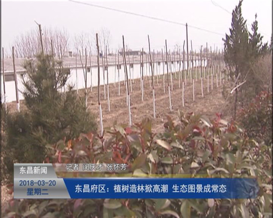東昌府區(qū)：植樹造林掀高潮 生態(tài)圖景成常態(tài)