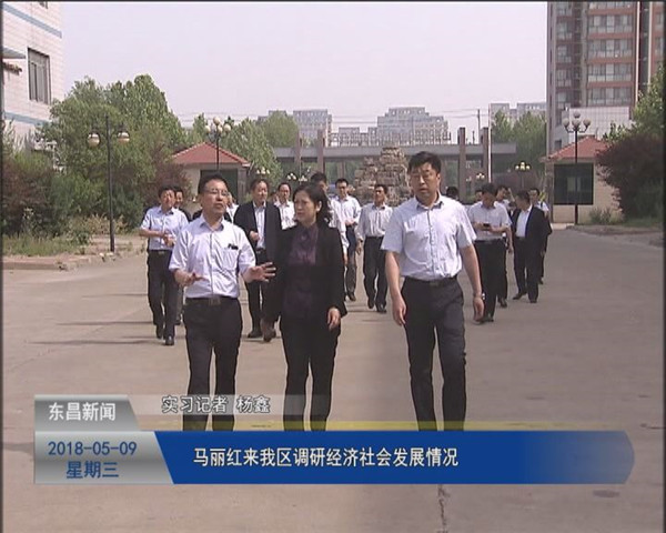 馬麗紅來我區(qū)調(diào)研經(jīng)濟社會發(fā)展情況