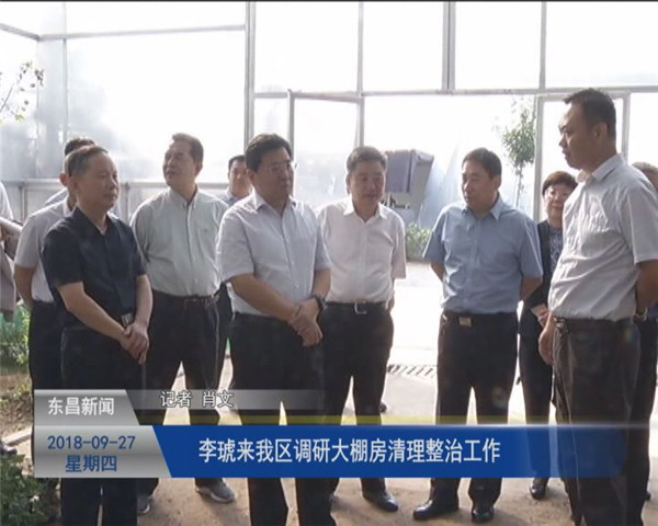 李琥來(lái)我區(qū)調(diào)研大棚房清理整治工作