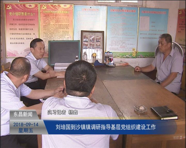 劉培國(guó)到沙鎮(zhèn)鎮(zhèn)調(diào)研指導(dǎo)基層黨組織建設(shè)工作