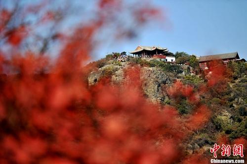 點(diǎn)擊進(jìn)入下一頁(yè)