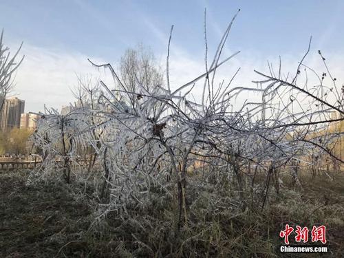 小雪節(jié)氣習(xí)俗知多少？民間流行吃這些美味
