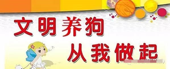 養(yǎng)狗干擾他人生活不改要罰款！聊城發(fā)通告規(guī)范養(yǎng)犬
