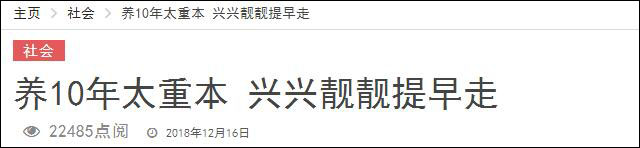 養(yǎng)不起！馬來西亞部長稱將把2只大熊貓?zhí)崆八瓦€中國