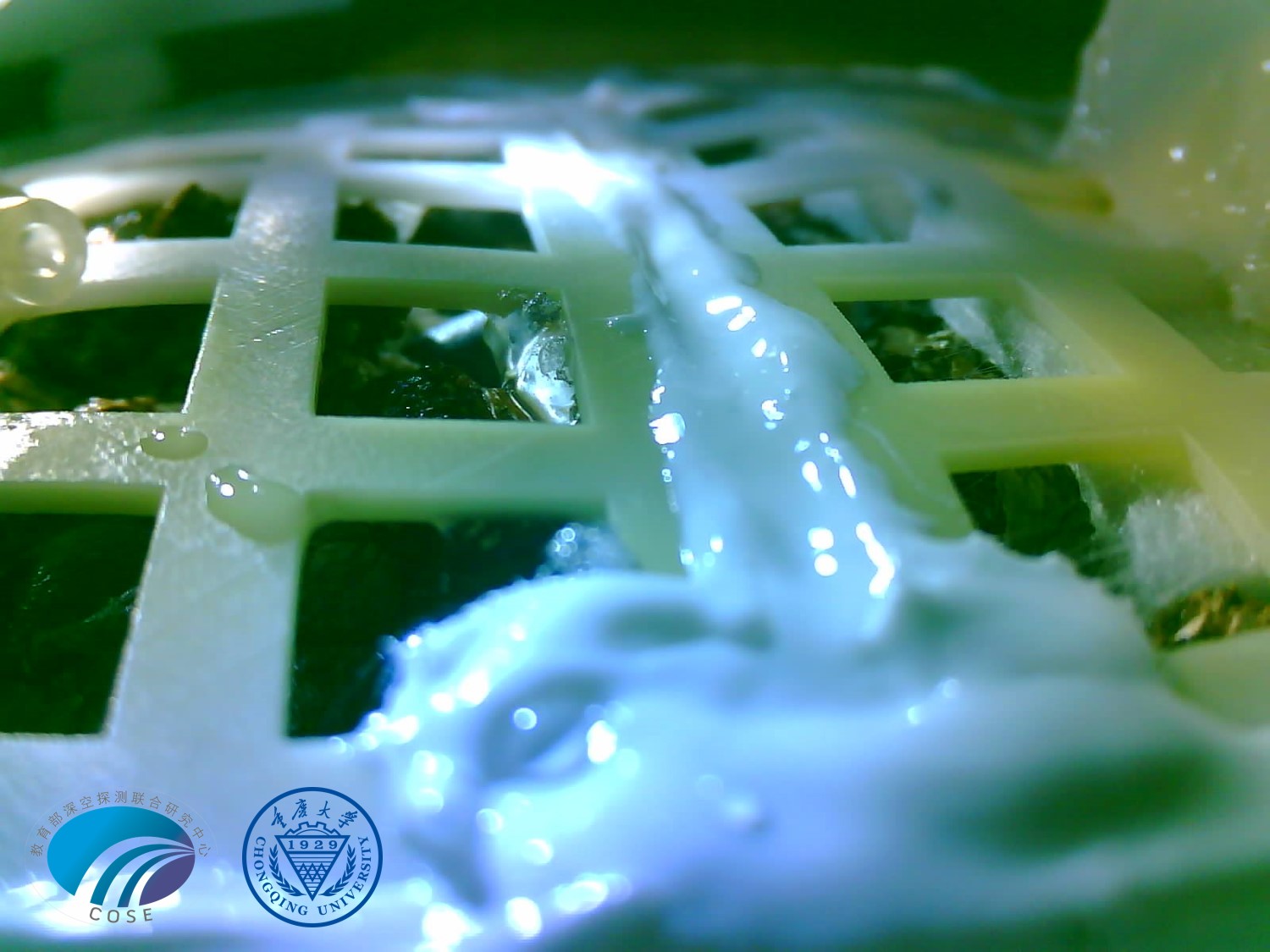 嫦娥四號完成人類首次月面生物實驗 月面長出第一株嫩芽