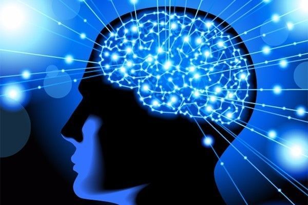 人類大腦“發(fā)育時(shí)間表”：30歲才成年 90歲仍在發(fā)育