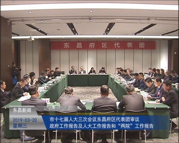 市十七屆人大三次會議東昌府區(qū)代表團(tuán)審議政府工作報告及人大工作報告和“兩院”工作報告