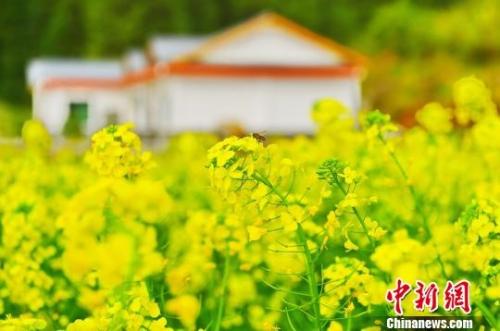 點擊進入下一頁