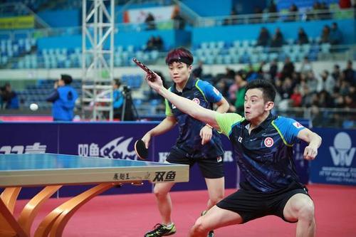 瘋狂4連勝！樊振東丁寧4-0橫掃晉級(jí)16強(qiáng) 頭號(hào)種子倒下