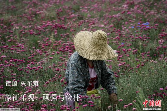 點(diǎn)擊進(jìn)入下一頁(yè)
