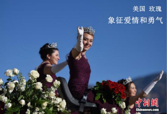 點(diǎn)擊進(jìn)入下一頁(yè)