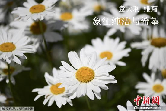 點(diǎn)擊進(jìn)入下一頁(yè)