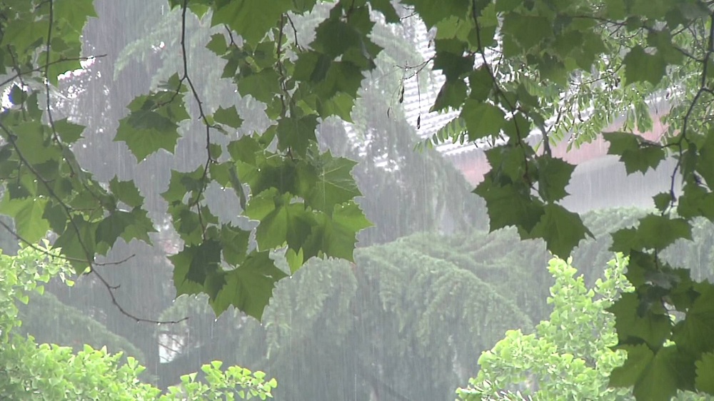 山東繼續(xù)發(fā)布高溫橙色預(yù)警 雨后桑拿天開啟