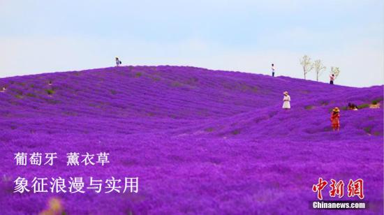 點(diǎn)擊進(jìn)入下一頁(yè)