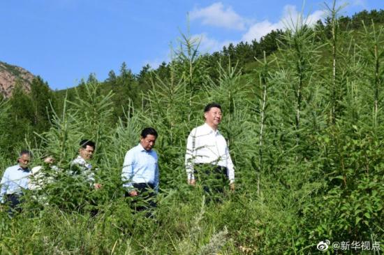 習(xí)近平深入喀喇沁旗林場農(nóng)村考察調(diào)研
