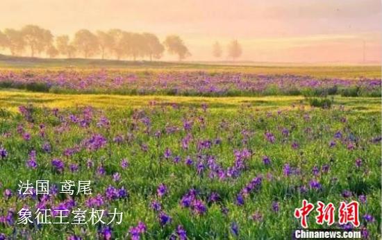 點(diǎn)擊進(jìn)入下一頁(yè)