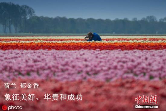 點(diǎn)擊進(jìn)入下一頁(yè)
