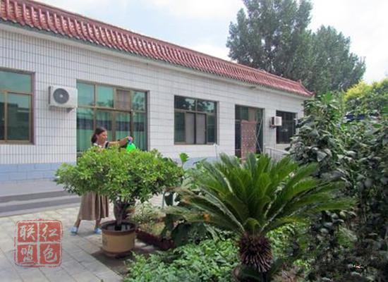 山東：到2020年村村建有美麗庭院示范戶(hù)