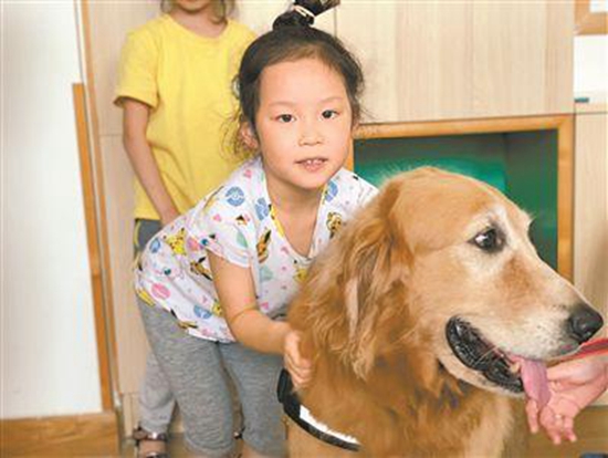 “狗狗教授”幼兒園狂圈粉 教孩子學(xué)會(huì)與動(dòng)物相處