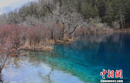 點(diǎn)擊進(jìn)入下一頁