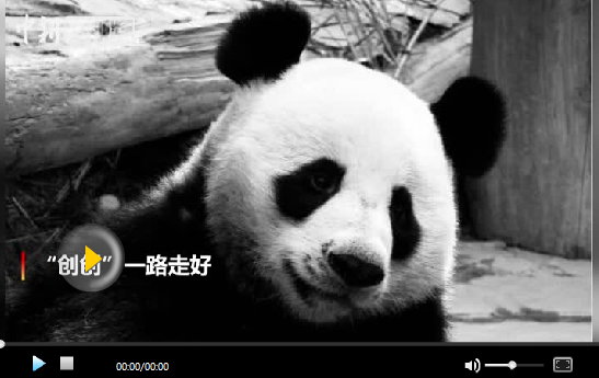 中國專家抵達清邁 大熊貓“創(chuàng)創(chuàng)”死因或一周內(nèi)揭曉