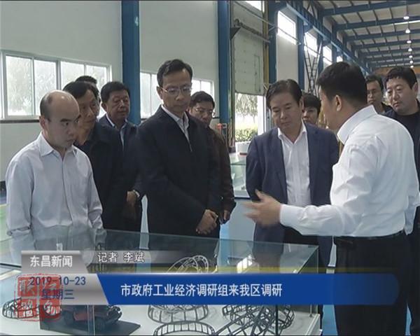 市政府工業(yè)經(jīng)濟(jì)調(diào)研組來我區(qū)調(diào)研