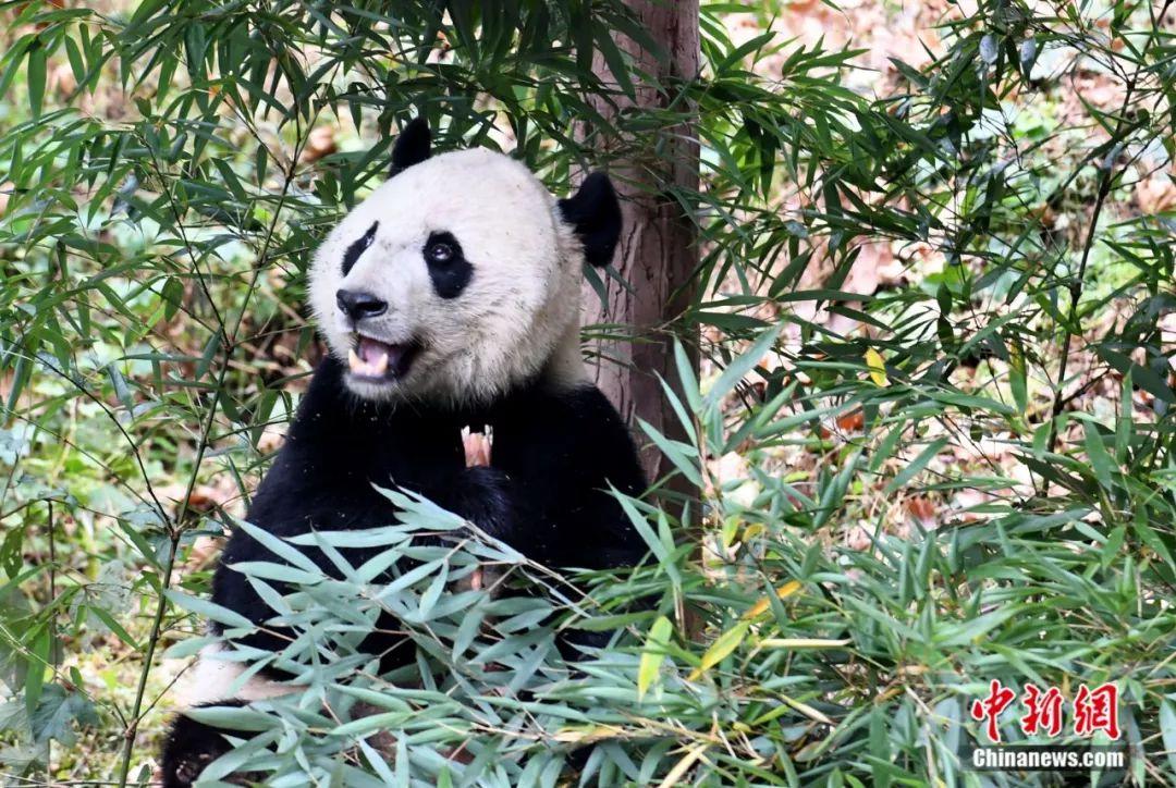 點擊進入下一頁