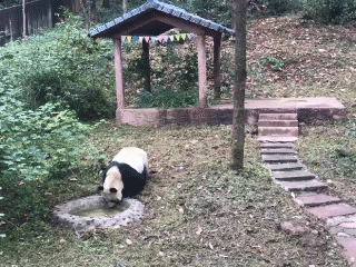 點擊進入下一頁
