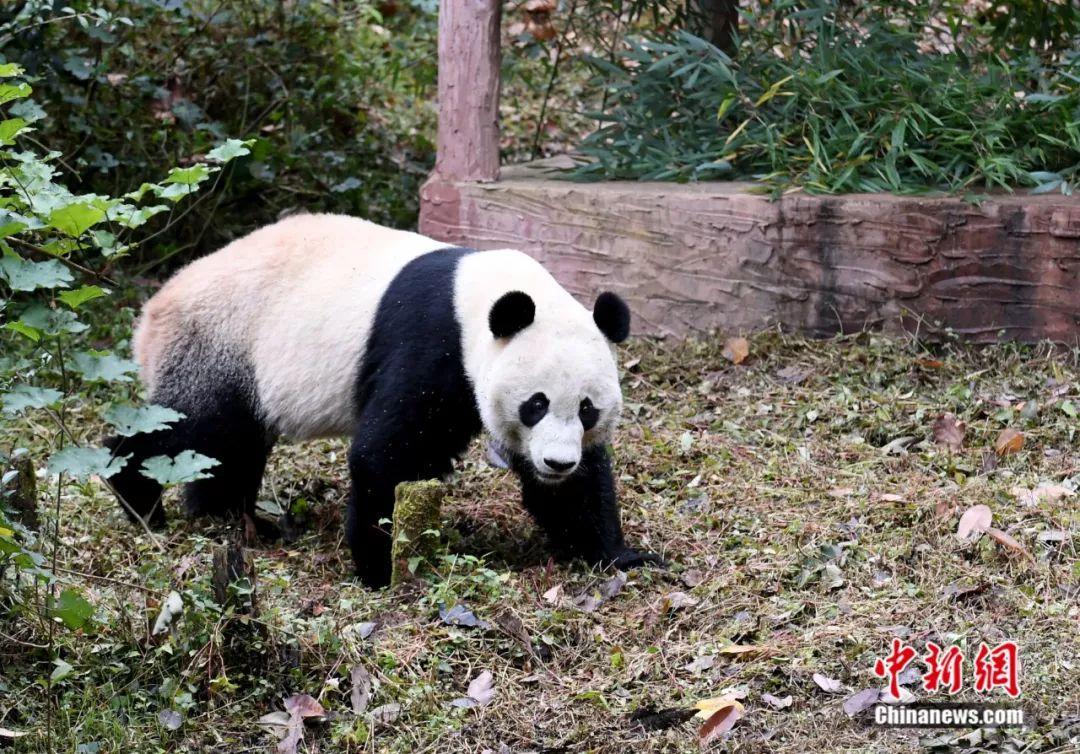 點擊進入下一頁