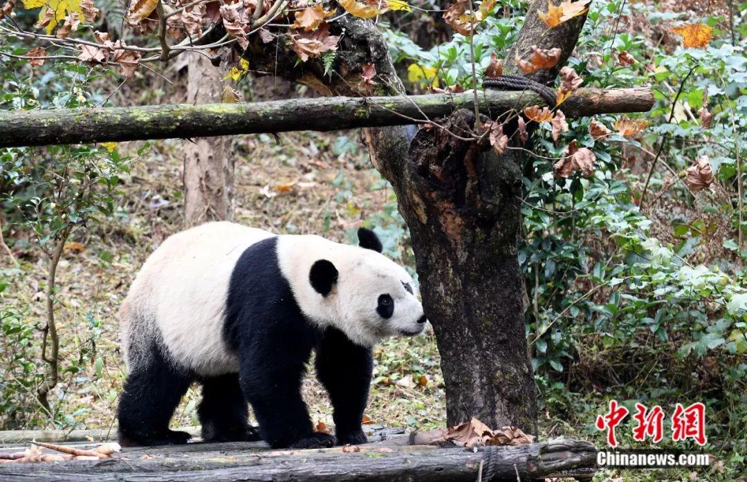 點擊進入下一頁