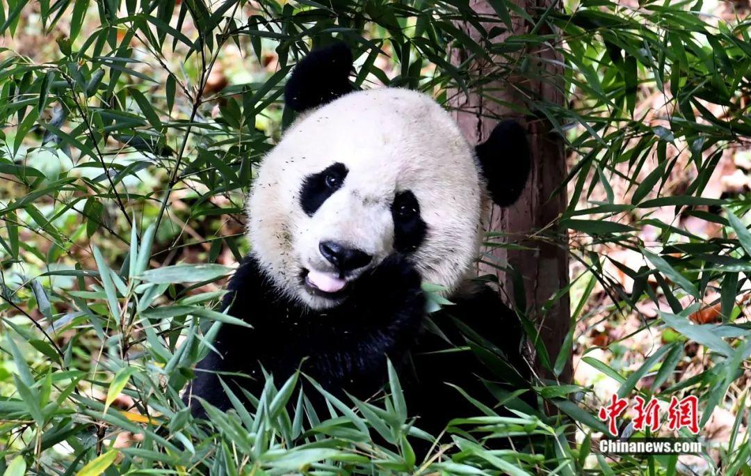 點擊進入下一頁