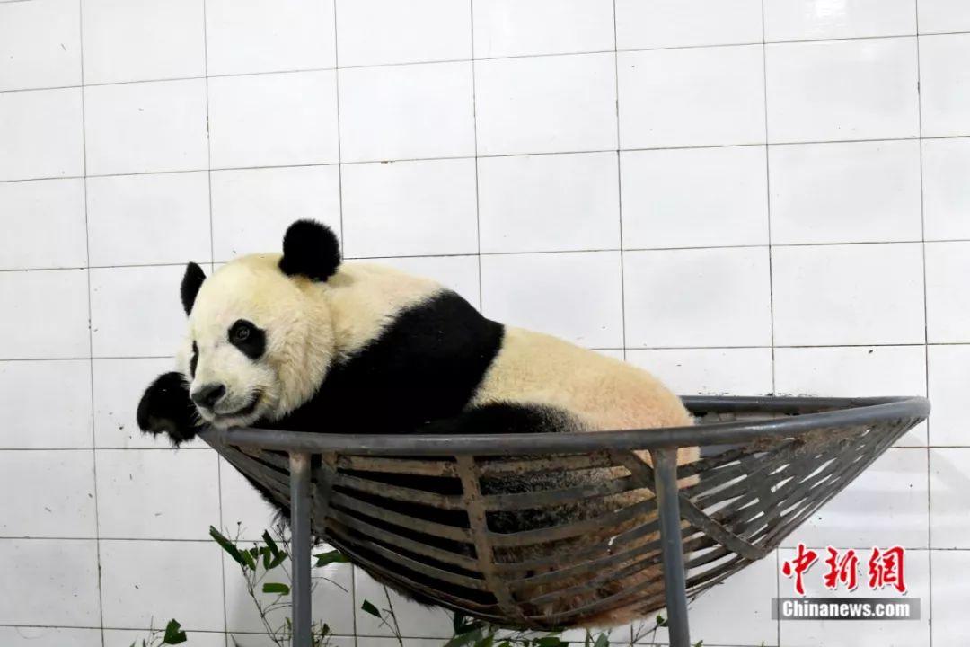 點擊進入下一頁