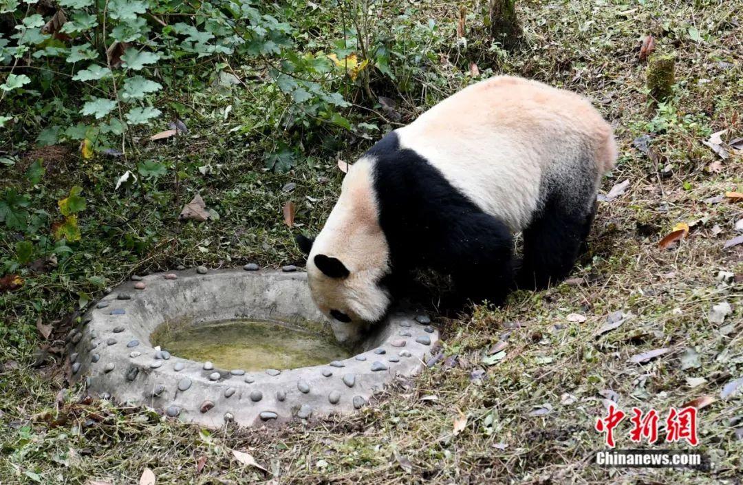 點擊進入下一頁